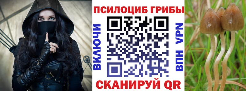 Галлюциногенные грибы ЛСД  Купить  Светлоград 
